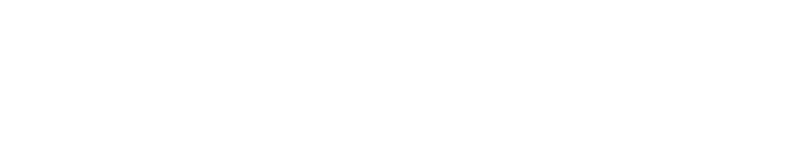 KINETIX MAX